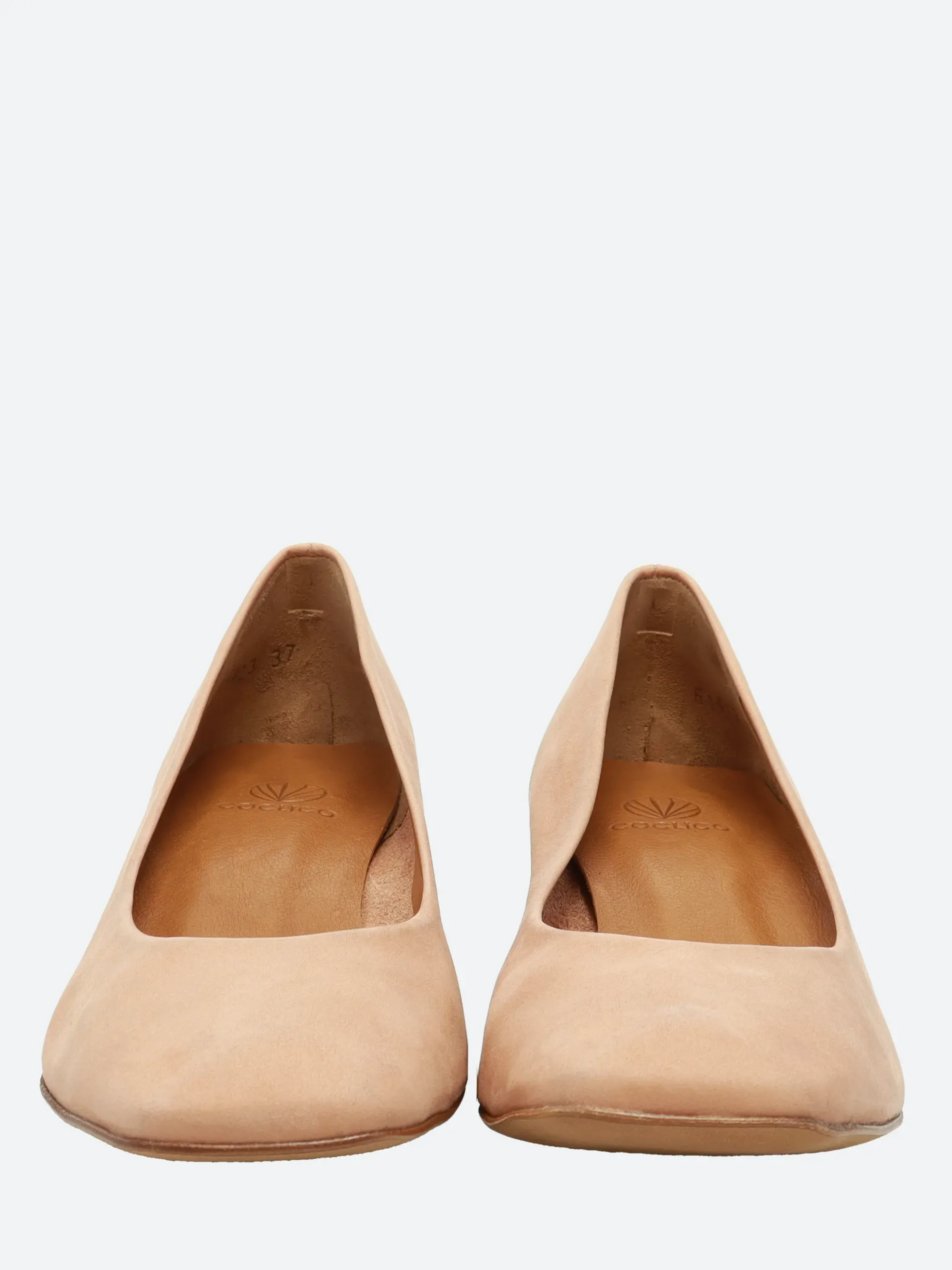 Coclico - Icy in Fawn