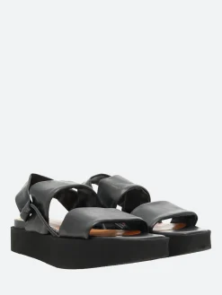 Coclico - Imna in Black