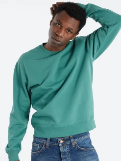 Colorful Standard - Classic Organic Crew in Pine Green