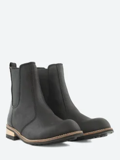 Kodiak - Alma in Black