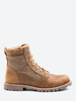 Kodiak - Thane in Gold