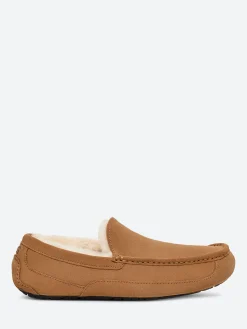 Ugg - Ascot Slipper in Chestnut