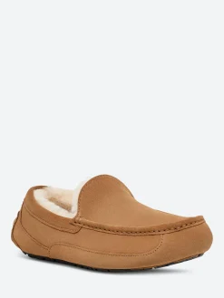 Ugg - Ascot Slipper in Chestnut
