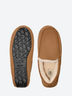 Ugg - Ascot Slipper in Chestnut