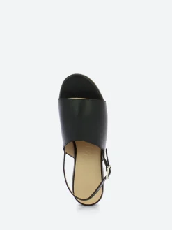 Wonders - D-8850 Sandal in Black